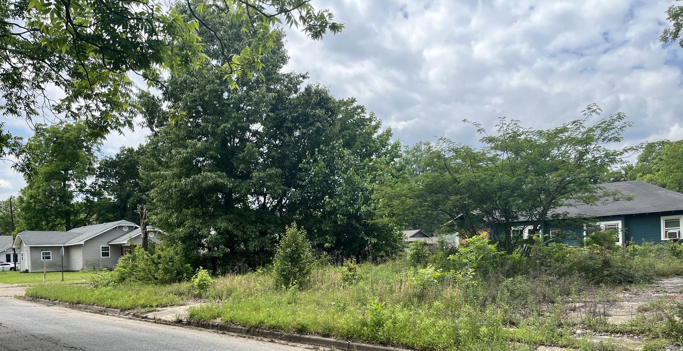 Overgrown residential lot before clearing