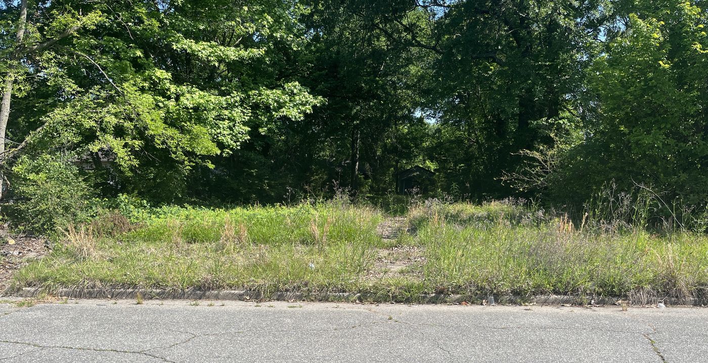 Overgrown as-is property before any work