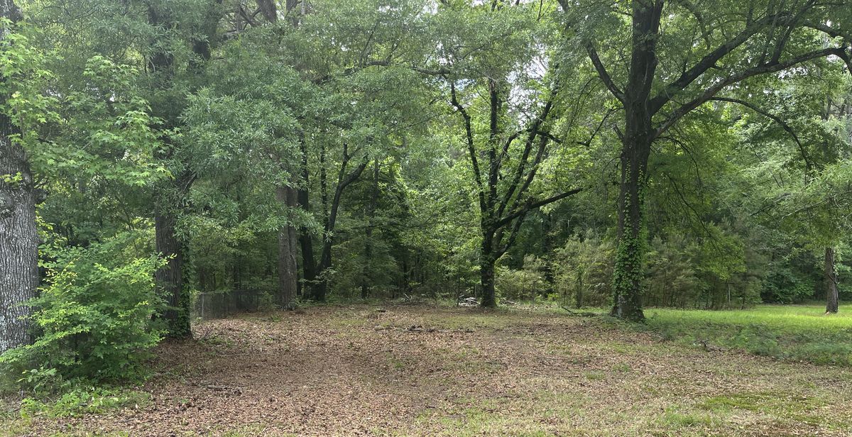 Tree-lined lot with road frontage