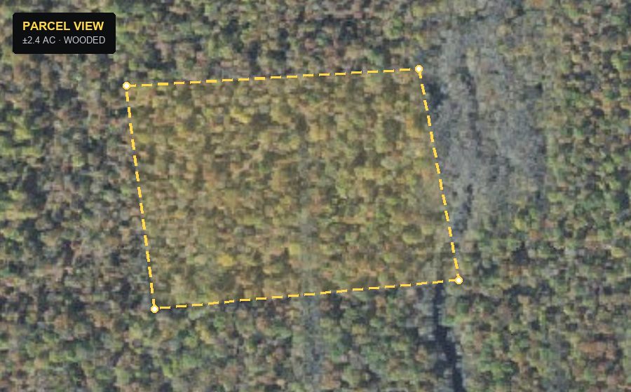 Aerial parcel view of a wooded tract